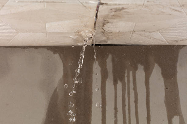 Professional Sewage Cleanup technician working in Bloomfield, NM